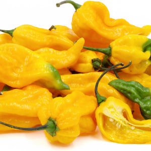 Fatalii Yellow