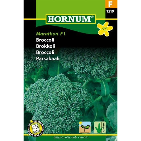 Broccoli Marathon F1