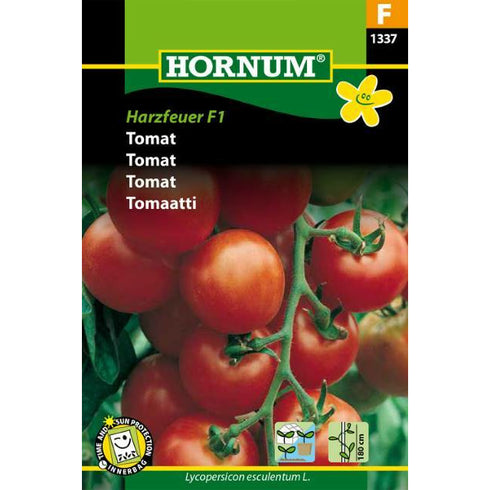Tomato Harzfeuer F1