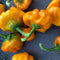 Jamaican Scotch Bonnet Yellow