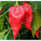 Fatalii Red