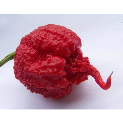 Carolina Reaper Red