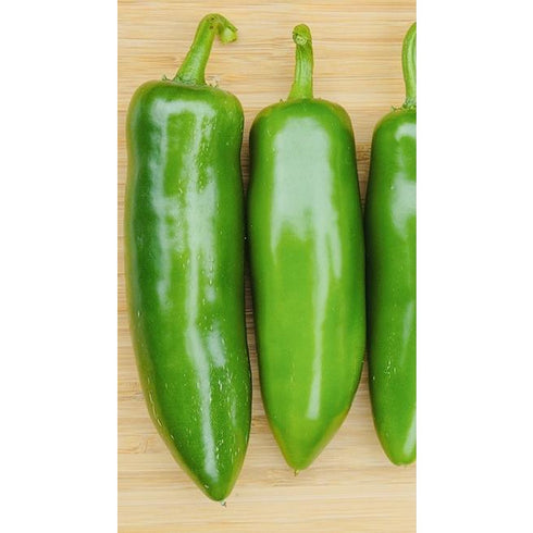 Large Jalapeño Troy