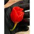 Carolina Reaper x BG7 x Butch T