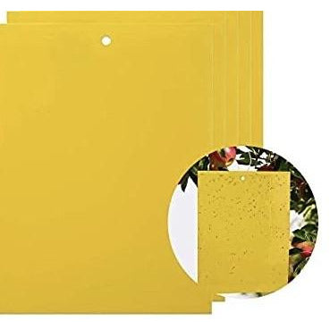Fly paper - yellow - double-sided
