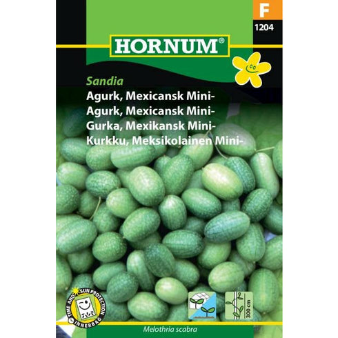 CUCUMBER MEX MINI SANDI