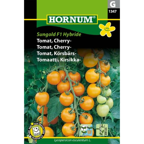 TOMAT CHERRY SUNGOLD